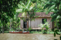 A closeup shot of boats in a river and a small house on the bay surrounded by palm trees in Amazonia